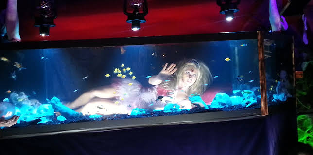 09:25: Tanked (S3 E13) (S3) | Animal Planet | 1/14 2026