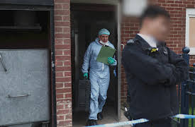 Murder Detective, Season 1: Henriett Szucs & Mihrican Mustafa - Bodies in the Freezer