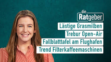 08:20: Die Ratgeber | HR Fernsehen | 7/24 2026