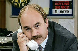 The thin blue line: Fire and Terror