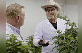 Growing Belushi: The Buds are Back in Town