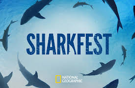 Sharkfest 2024 Season 1: Shark Beach with Anthony Mackie: Gulf Coast
