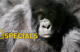 National Geographic Specials Season 1: Braving Alaska