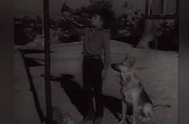 Adventures of Champion: Bugle for Ricky