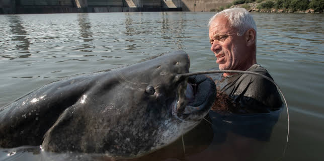 00:45: Fiske i mystiske farvann (S1 E4) (S1) | Animal Planet | 11/4 2025