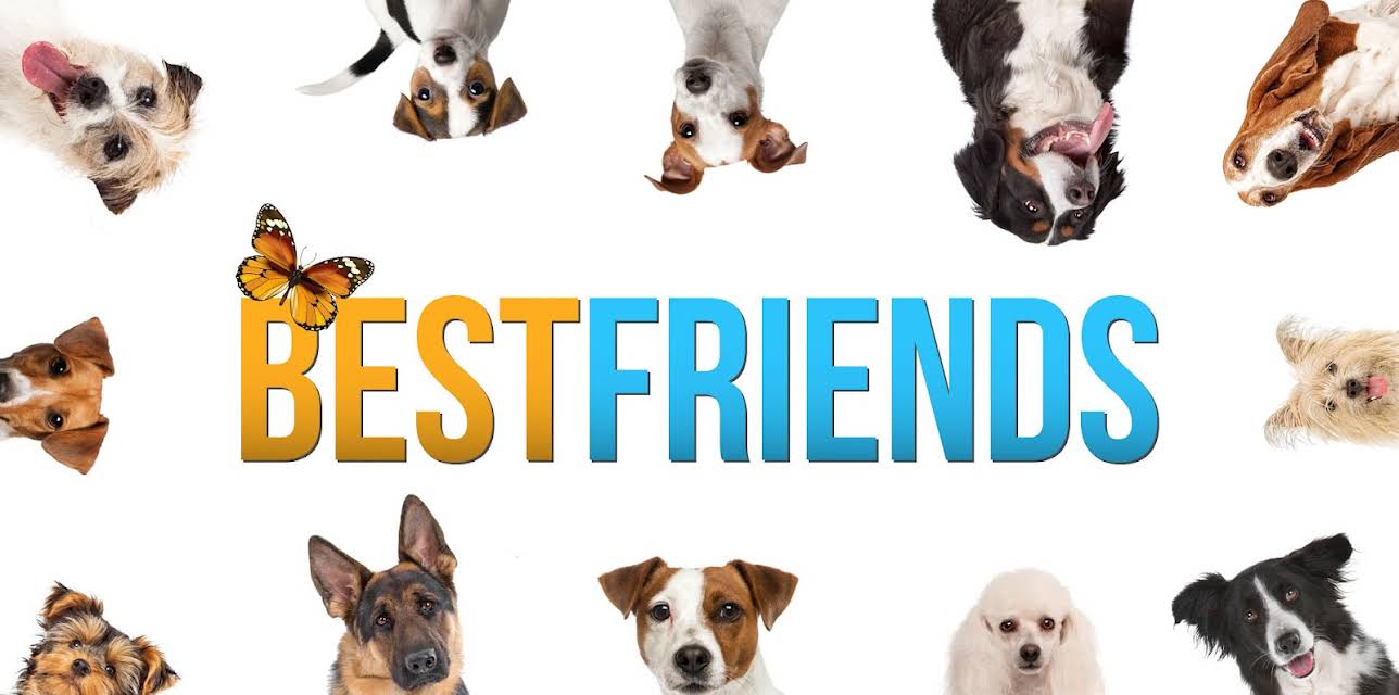 Best Friends (2014)