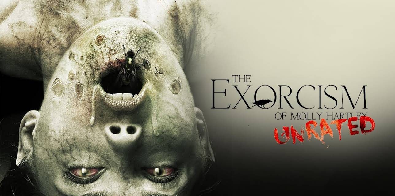 The Exorcism of Molly Hartley (2015)