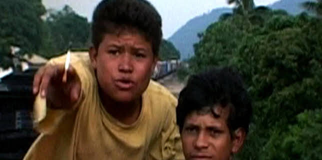 Which Way Home (2009)