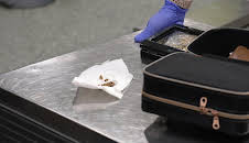 Border Patrol Australia