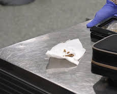 Border Patrol Australia