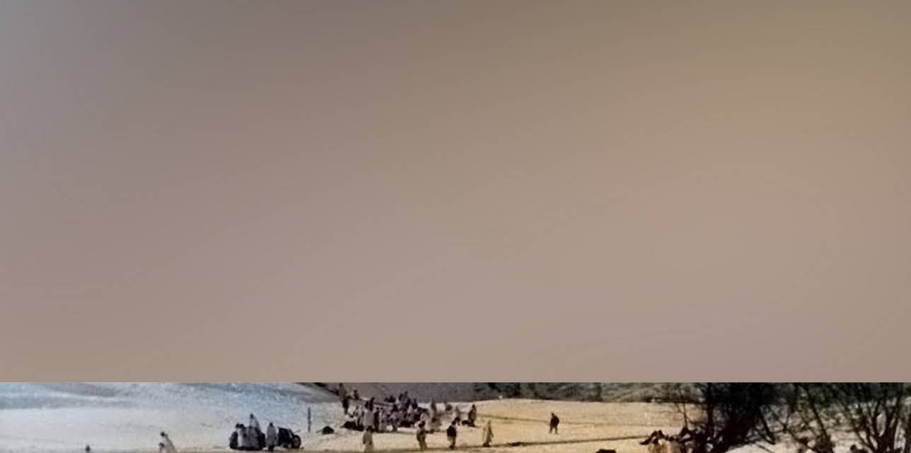 Hitler's Eastern Front: Army Group North, Army Group Center, & Army Group South