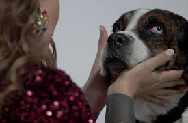 La loca de los perros season-1: La loca de los perros - Piwi