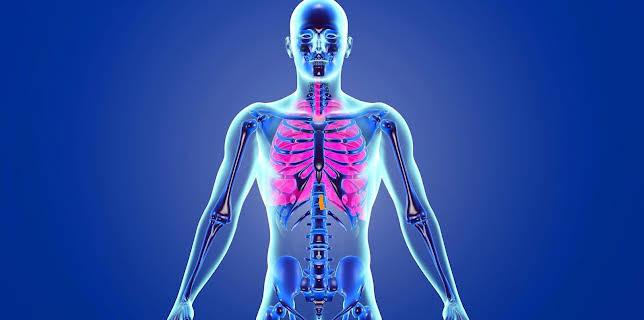 11:40: aktiv und gesund | SWR Fernsehen RP | 1/23 2026