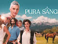 PURA SANGRE (estreno)