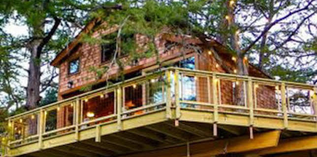 10:35: Mi casa en un árbol: Cabaña de lujo al estilo de Thomas Jefferson | Discovery | 11/13 2024