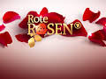 Rote Rosen (4233)