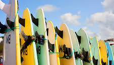 Hvordan gjør de det? (S16 E3)