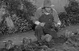 The Real McCoys: The Matchmaker