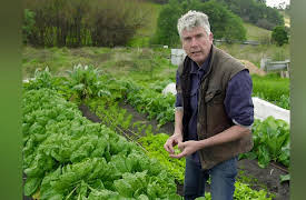 Gourmet Farmer: THe Elegance of Good Ideas