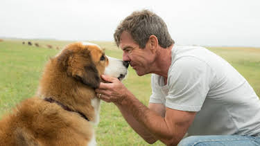 11:45 PM: A Dog's Purpose | Sky Family | 8/11 2026