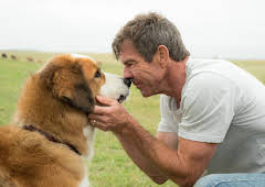 A Dog's Purpose