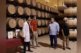 The Wine Guys: Mancha to Rioja