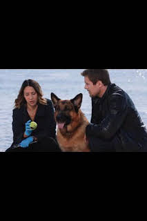 06:19: Hudson y Rex (T3): Ep.7 Cuestión de camada | AXN | 6/17 2026