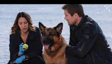 Hudson y Rex (T3): Ep.7 Cuestión de camada