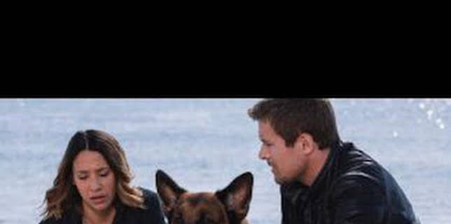 20:08: Hudson y Rex (T3): Ep.7 Cuestión de camada | AXN | 3/16 2026