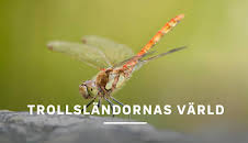 Trollsländornas värld