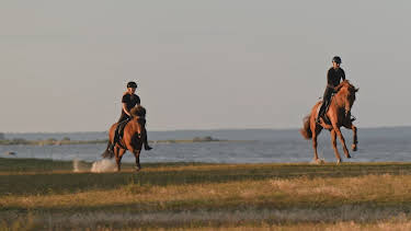 12:55: Svenske bønder (S1 E5) (S1) | TV3 | 5/2 2026