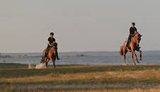 Svenska bönder (S1 E5)