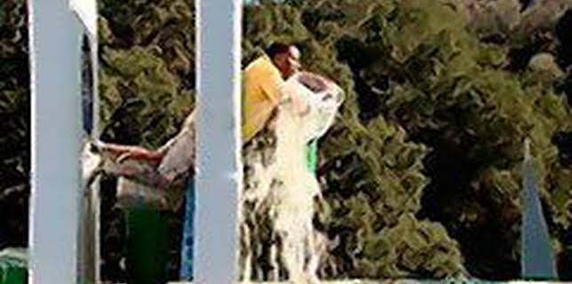 05:15: WipeOut - Mach dich nass! | ProSieben Maxx | 12/31 2025