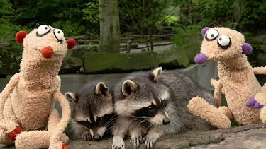 18:54: Unser Sandmännchen | MDR Fernsehen | 4/17 2026