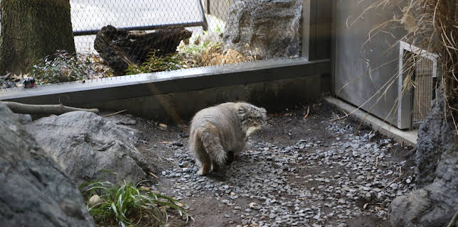 06:50: The Zoo (S3 E14) (S3) | Animal Planet | 1/16 2026