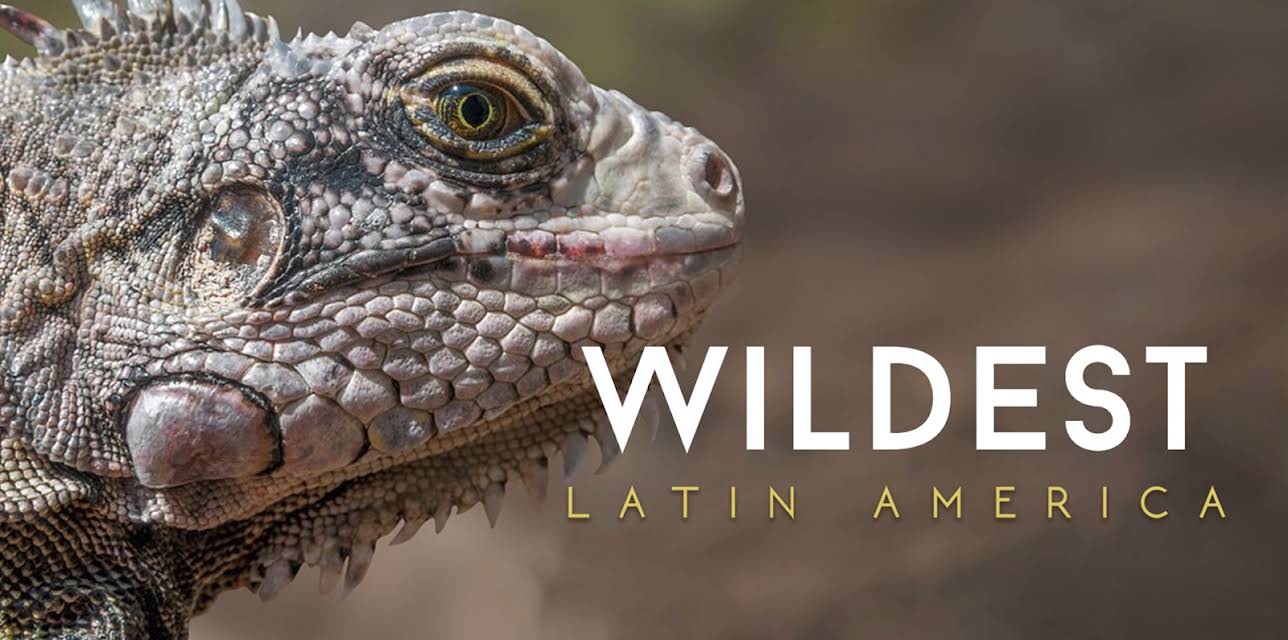 Wildest: Latin America