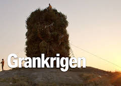 Grankrigen