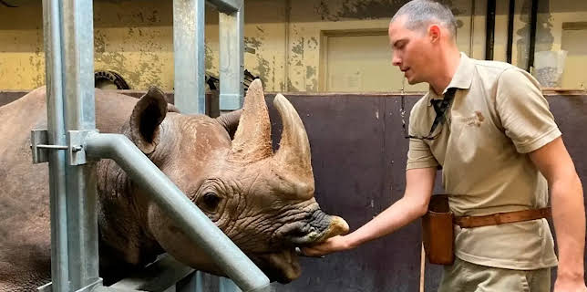 17:10: Seelöwe & Co. - tierisch beliebt | NDR Fernsehen | 12/23 2025