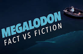 Megalodon: Fact vs Fiction: Megalodon: Fact vs Fiction