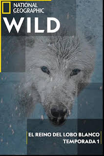 16:15: El reino del lobo blanco: La última caza | Nat Geo Wild | 2/25 2026