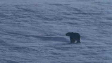 7:00 PM: Blue Planet (S1 E2) (S1) | Yesterday | 12/28 2025