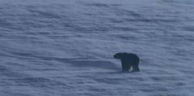 6:00 PM: Blue Planet (S1 E2) (S1) | Yesterday | 12/28 2025