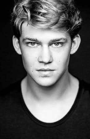 Joe Alwyn as 