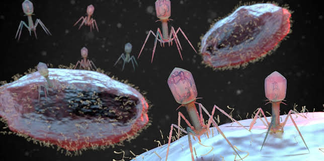 11:30: Kommt die Superkeim-Pandemie? | Radio Bremen | 2/2 2026