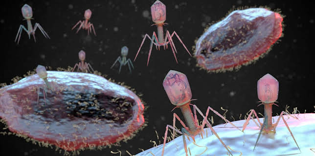 Kommt die Superkeim-Pandemie?