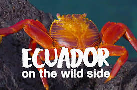Ecuador: On the Wild Side: From the Andes to the Galapagos Islands