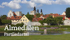 SVT Forum Almedalen: Talen