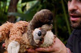 Brave Wilderness: Baby Animals