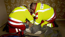 Auf Streife - Die Spezialisten