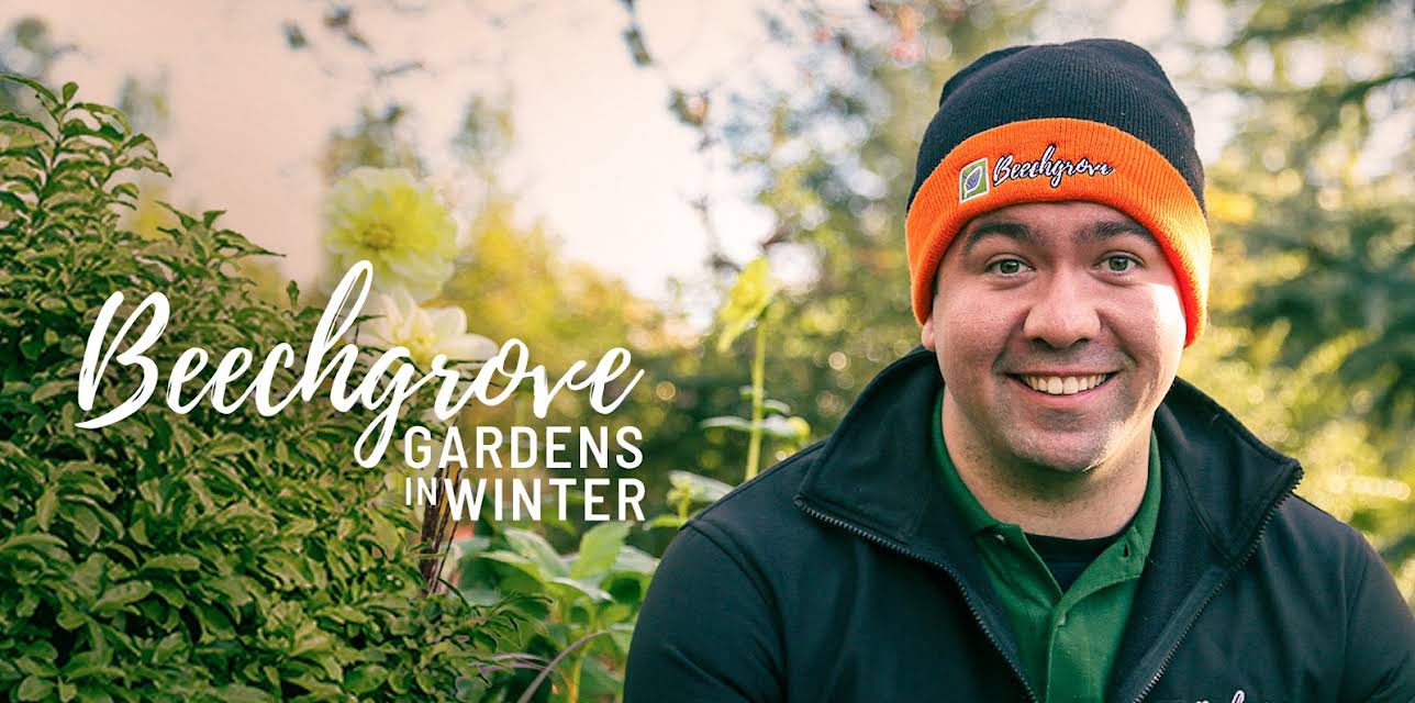 Beechgrove Gardens in Winter 2022